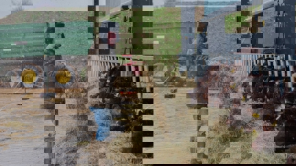 Episode image for 2x04