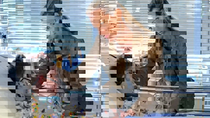 Episode image for 24x08