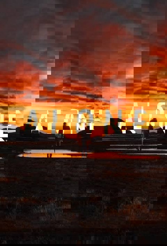 poster for season 12