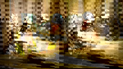 Episode image for 30x29