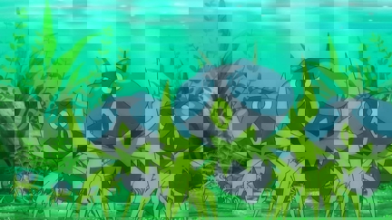 Episode image for 21x28