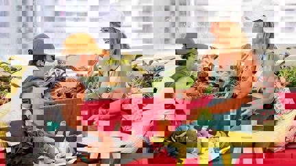 Episode image for 2x32