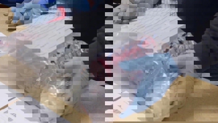 Episode image for 2x01