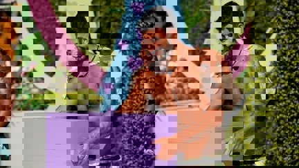 Episode image for 4x32