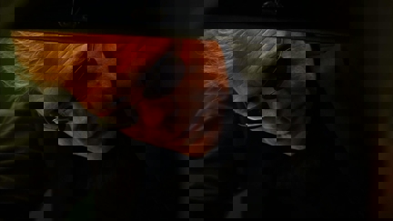 Episode image for 3x21