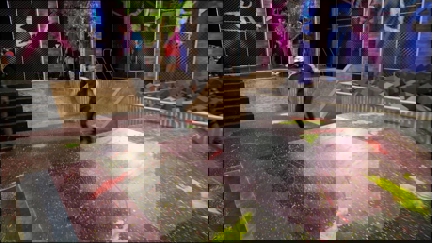 Episode image for 2x05