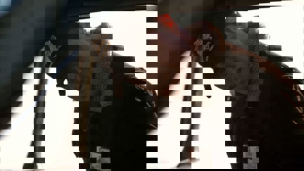 Episode image for 3x10