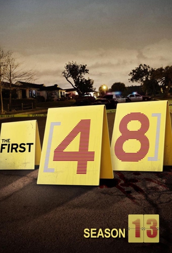 poster for season 13