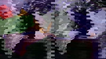 Episode image for 1x11