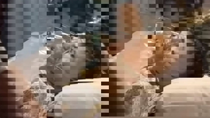 Episode image for 14x30