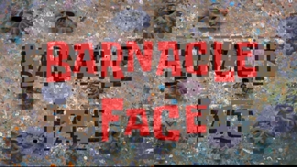 Episode image for 8x13