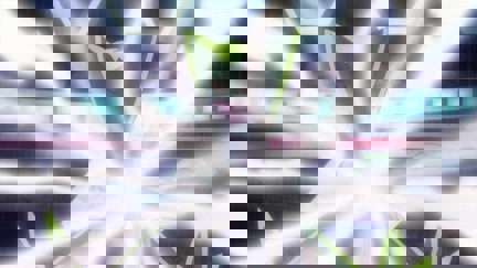 Episode image for 19x33