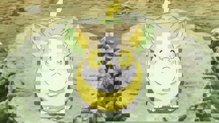 Episode image for 25x17