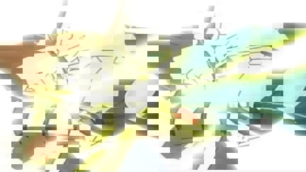 Episode image for 8x34