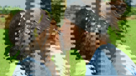 Episode image for 26x02