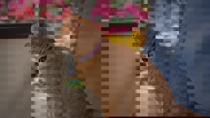 Episode image for 1x02