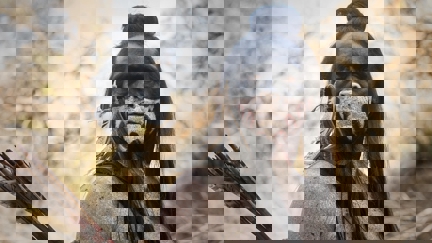 Episode image for 2x08