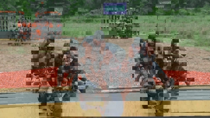 Episode image for 39x01