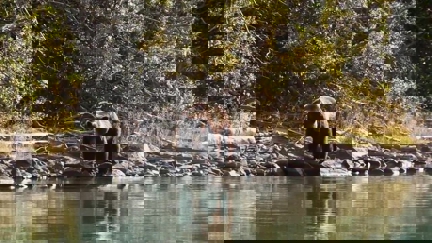 Episode image for 8x04