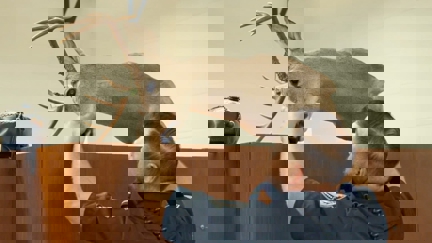 Episode image for 2x05