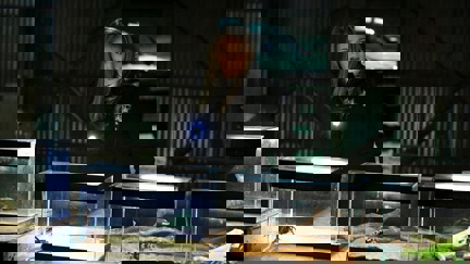 Episode image for 15x17