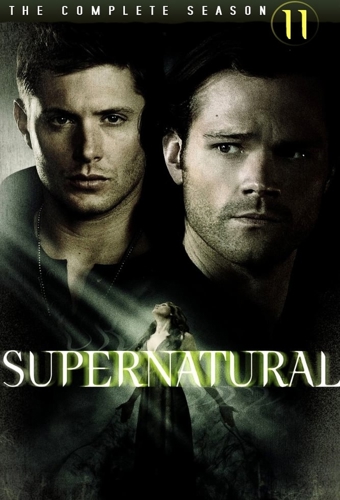 poster for season 11