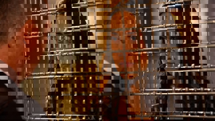 Episode image for 6x05