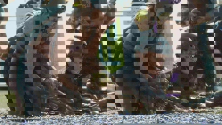 Episode image for 38x01